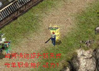 ��ο�������ն�촫�浥ְҵ��ɫս����